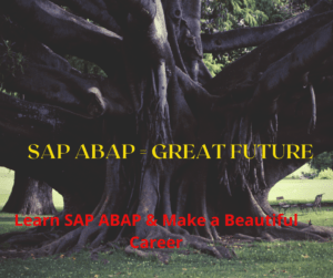 ABAP Course 